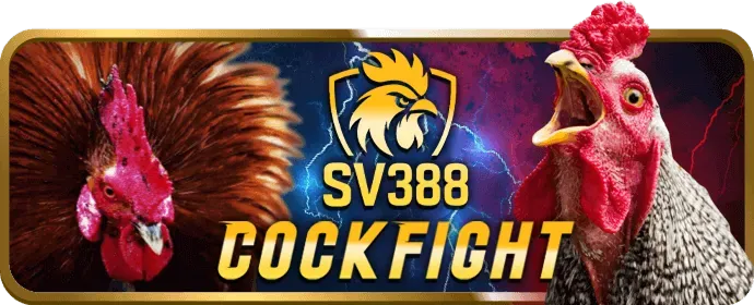 Chương trình VIP và hoàn trả đặc biệt tại win78 code